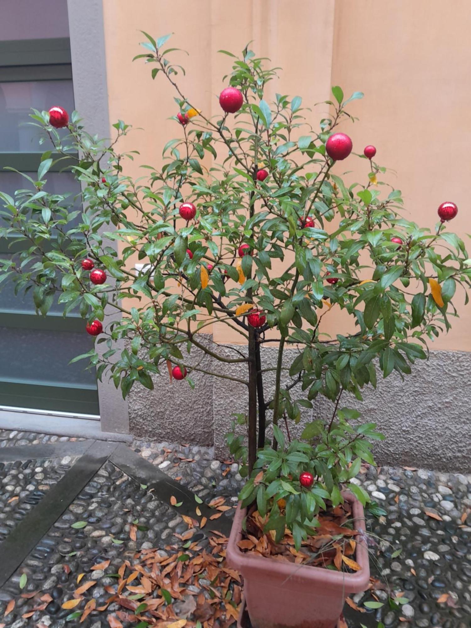 La Corte Dei Cappuccini 베르가모 외부 사진